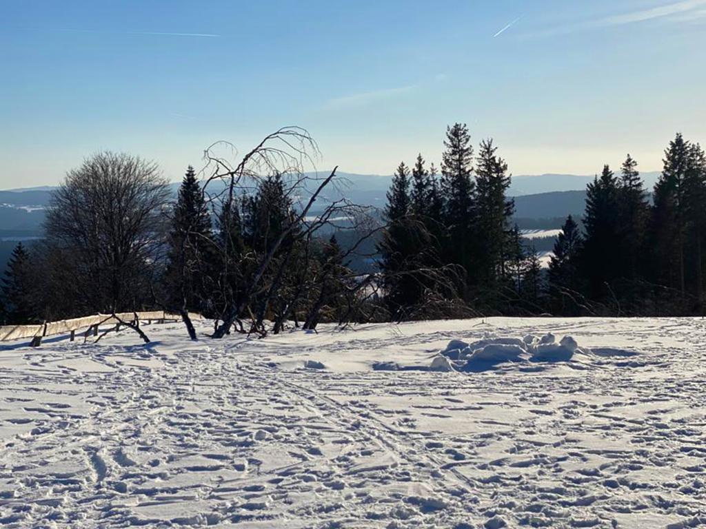 Schnee Ferienwohnung Neukirch